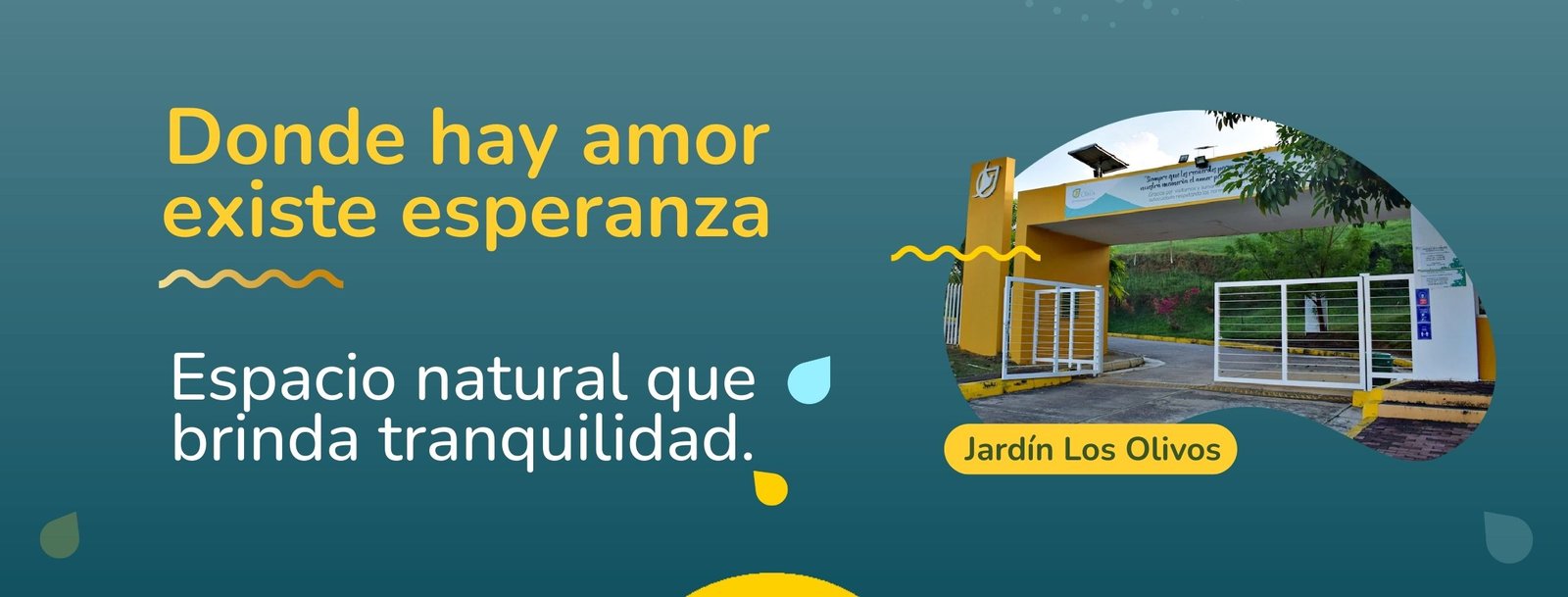 Banner-Jardin-Los-Olivos